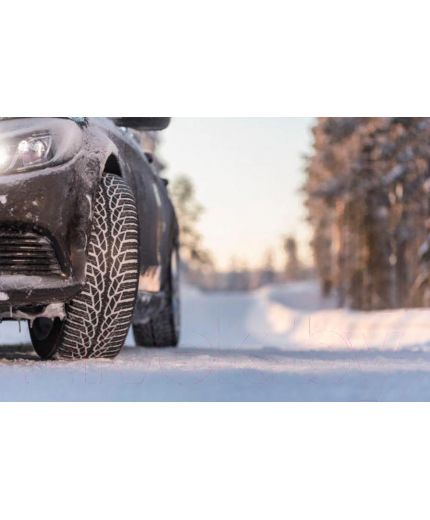 NOKIAN WR D4 175/65R14 82T Фото 3