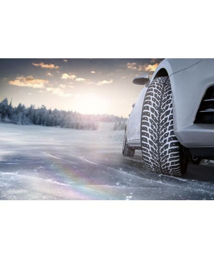 NOKIAN Hakkapeliitta 9 215/55R17 98T Фото 2