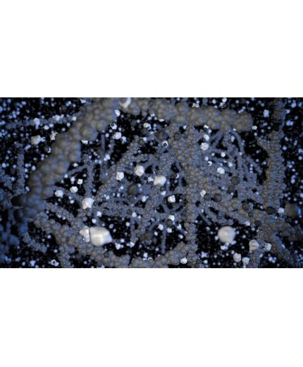 MICHELIN Primacy 4 215/65R17 103V Фото 2