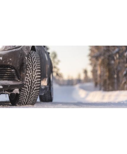 NOKIAN WR D4 205/65R16 95H Фото 3