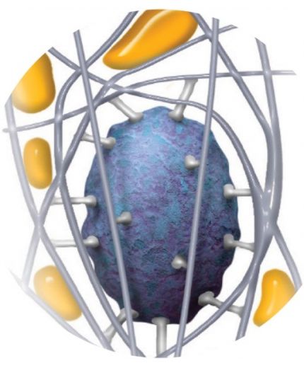 VREDESTEIN Wintrac Pro 235/45R17 97V Фото 3