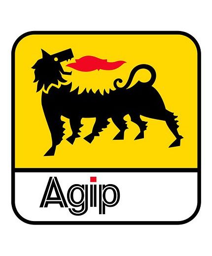 Моторное масло AGIP 7008 5W-30 5л Фото 2