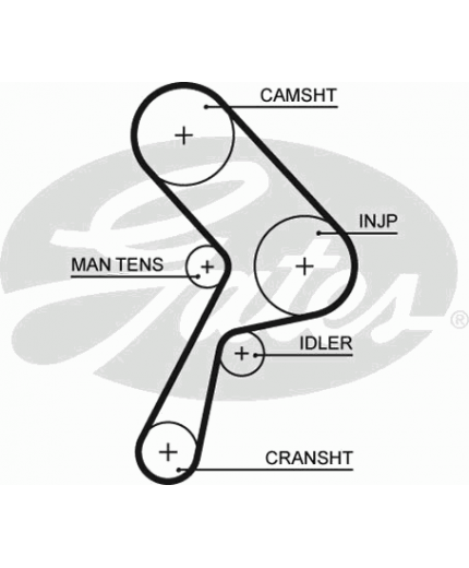 GATES Ремень ГРМ