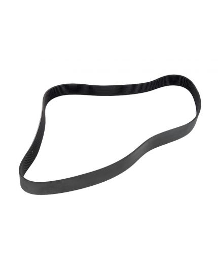 DAYCO Ремень поликлиновой Фото 2