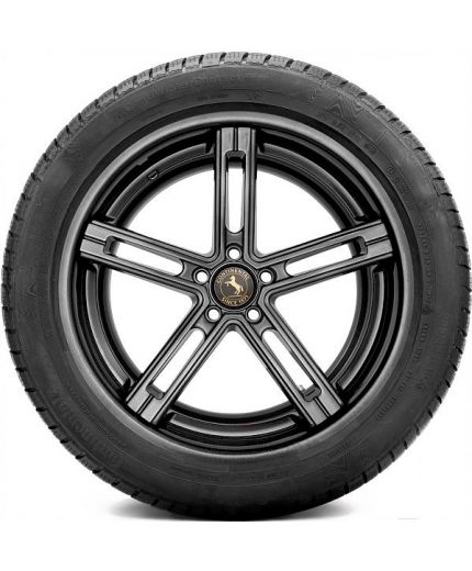 CONTINENTAL ContiWinterContact TS 830 P 225/55R17 97H Фото 11