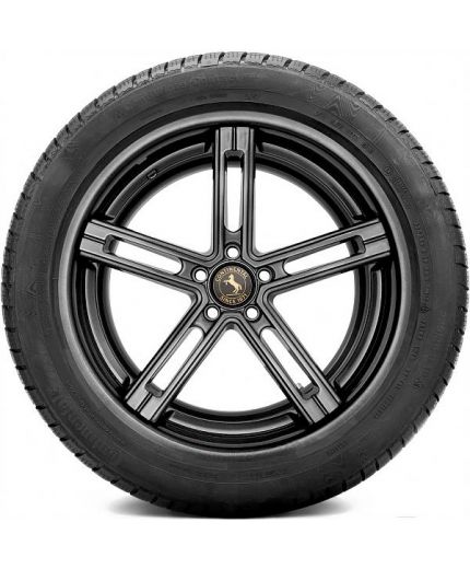 CONTINENTAL ContiWinterContact TS 830 P 225/55R17 101V Фото 12