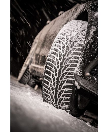 NOKIAN WR D4 215/60R17 96H Фото 8