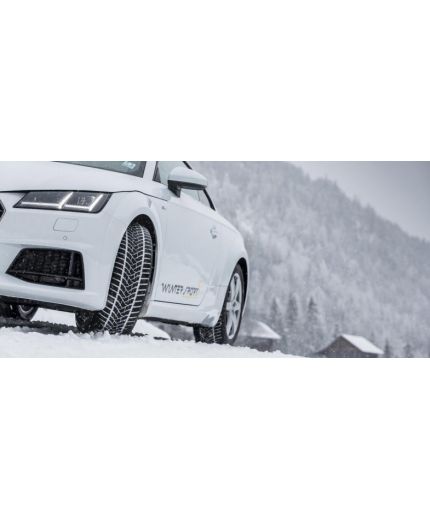 DUNLOP SP Winter Sport 5 225/45R17 94H Фото 4