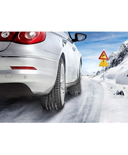 CONTINENTAL ContiWinterContact TS 830 P 255/35R19 96V Фото 3