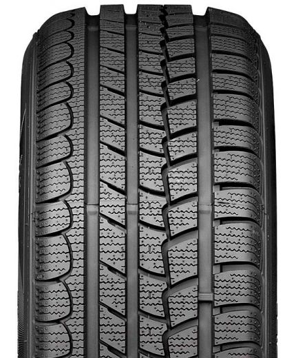 ROADSTONE Eurovis Alpine WH1 195/65R15 91H Фото 3