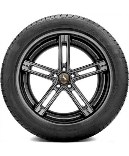 CONTINENTAL ContiWinterContact TS 830 P SUV 275/45R20 110V Фото 3