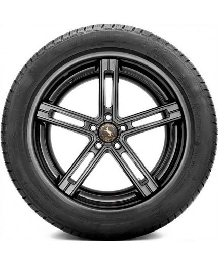 CONTINENTAL ContiWinterContact TS 830 P 225/45R18 95V (run-flat) Фото 3