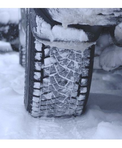 BRIDGESTONE Blizzak DM-Z3 285/75R16 116Q Фото 4