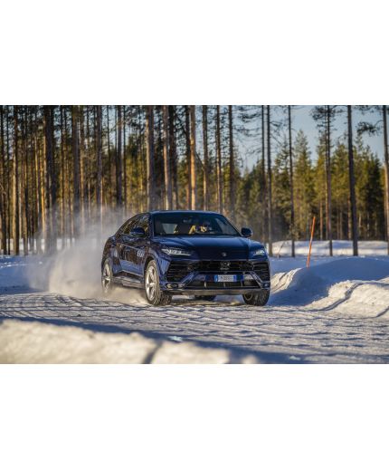 PIRELLI Scorpion Ice Zero 2 285/45R20 112H Фото 5