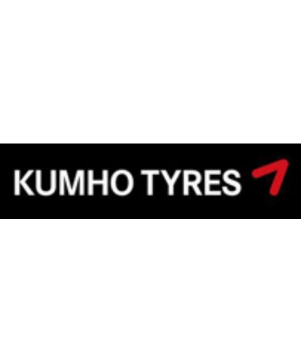 KUMHO WinterCraft WP51 195/50R16 88H Фото 3