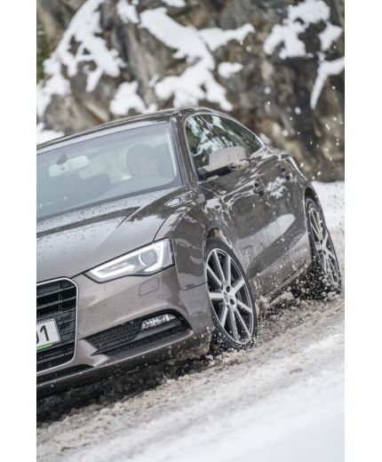 NOKIAN WR A4 255/45R18 103V Фото 6