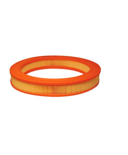 FILTRON Фильтр воздушный Фото 2