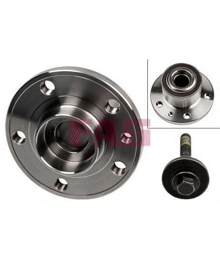 FAG Комплект подшипника передний ступицы