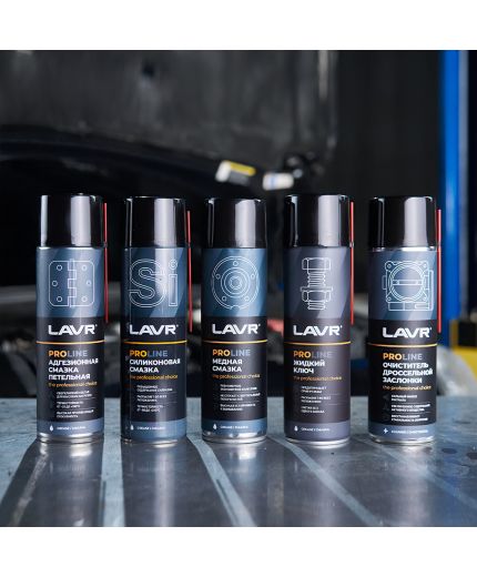 Смазка LAVR силиконовая LAVR SERVICE SILICONE SPRAY 650мл Фото 4