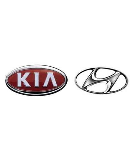 Hyundai/Kia Фильтр топливный