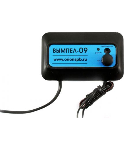 Вымпел 09 [2039] Фото 3