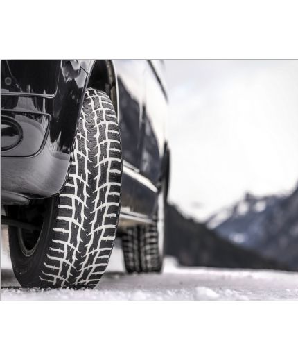 NOKIAN WR C3 195/75R16C 107/105S Фото 13