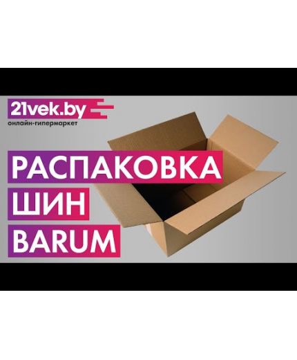 BARUM Bravuris 5HM 205/55R16 91V Фото 6