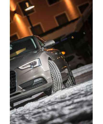 NOKIAN WR A4 205/55R16 94V Фото 11