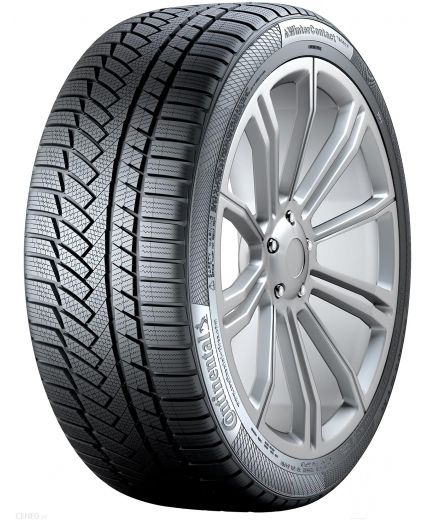 CONTINENTAL WinterContact TS 850 P 225/55R17 97H (run-flat) Фото 12