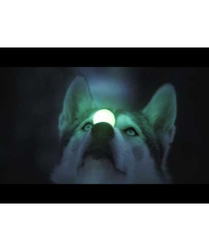 NOKIAN Hakkapeliitta 9 195/65R15 95T Фото 7