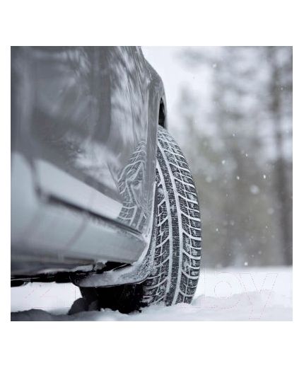 TOYO Snowprox S943 175/60R15 81H Фото 11
