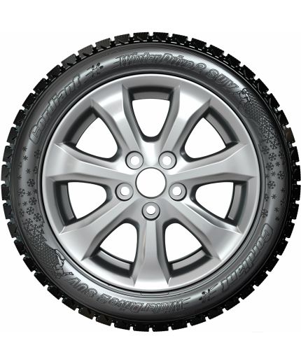 CORDIANT Winter Drive 2 175/70R13 82T Фото 5