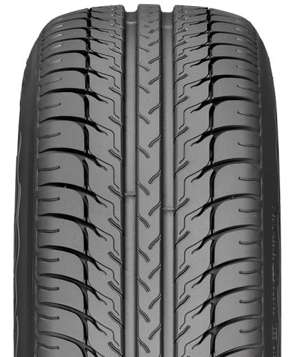 BFGoodrich g-Force Winter 2 205/45R17 88V Фото 11