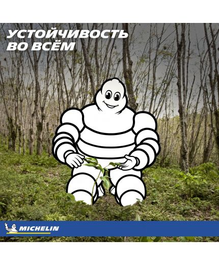 MICHELIN Latitude Sport 3 235/55R19 101Y Фото 22