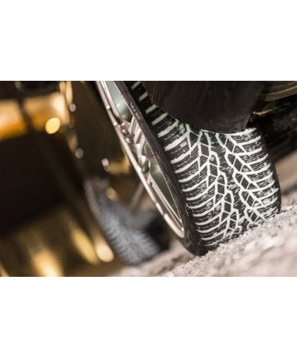 NOKIAN WR D4 225/45R17 91H Фото 9