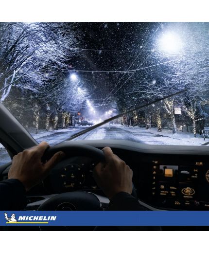 MICHELIN Pilot Alpin 5 SUV 275/45R21 110V Фото 10