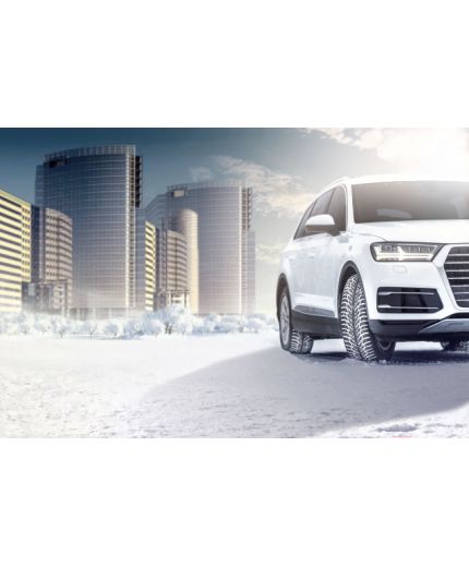 NOKIAN Hakkapeliitta 9 SUV 255/50R20 109T Фото 7