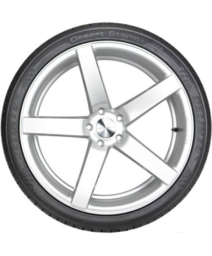 Delinte Winter WD1 275/40R19 101H Фото 2