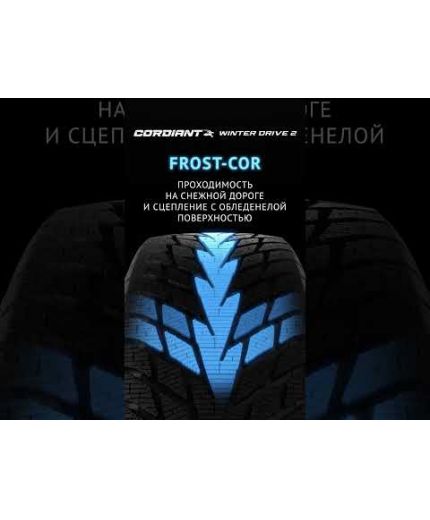 CORDIANT Winter Drive 185/65R15 92T Фото 6