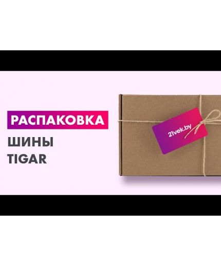 TIGAR Winter 195/65R15 91H Фото 2