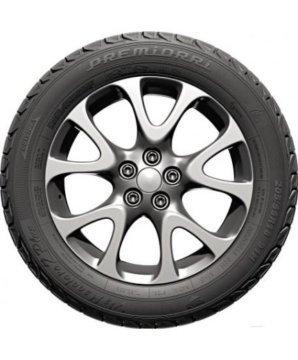 PREMIORRI ViaMaggiore Z Plus 225/55R16 99H Фото 6