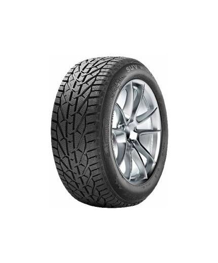TAURUS Winter 225/45R17 91H