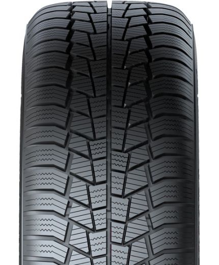 GISLAVED Euro*Frost 6 225/45R17 91H Фото 3