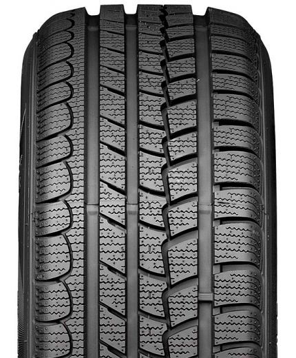 ROADSTONE Eurovis Alpine WH1 195/55R16 87T Фото 3
