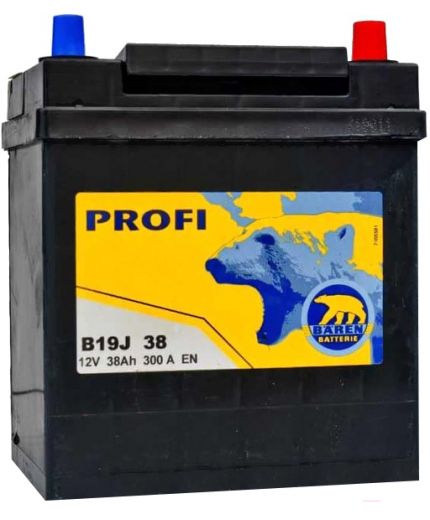 Baren Аккумулятор Profi 7905666 300А (38 А/ч)