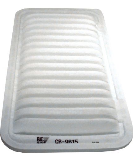 BIG Filter Фильтр воздушный Фото 3