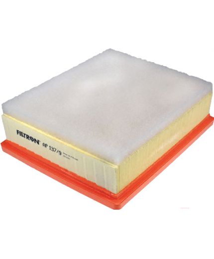 FILTRON Фильтр воздушный Фото 2