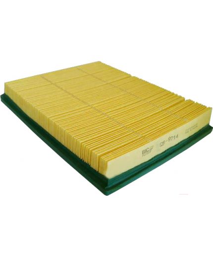 BIG Filter Фильтр воздушный Фото 4