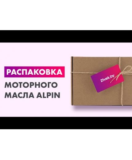 Моторное масло ALPINE TS 10W-40 5л Фото 2