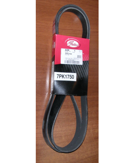 GATES Ремень поликлиновой Фото 2